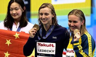 2023国际泳联世锦赛